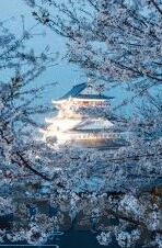 星空体育官方平台-星空体育，开启您的非凡体育盛宴