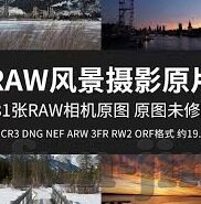 中超足球比分榜-中超足球比分榜，赛场风云的实时镜像与深度解读